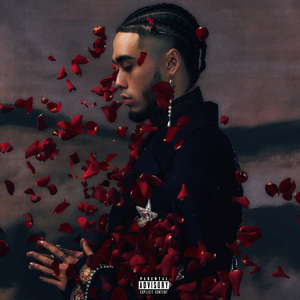 美女老师用丝袜踩我的🐔出精子的照片
